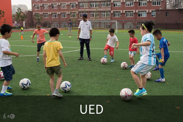 UED公司简介图片